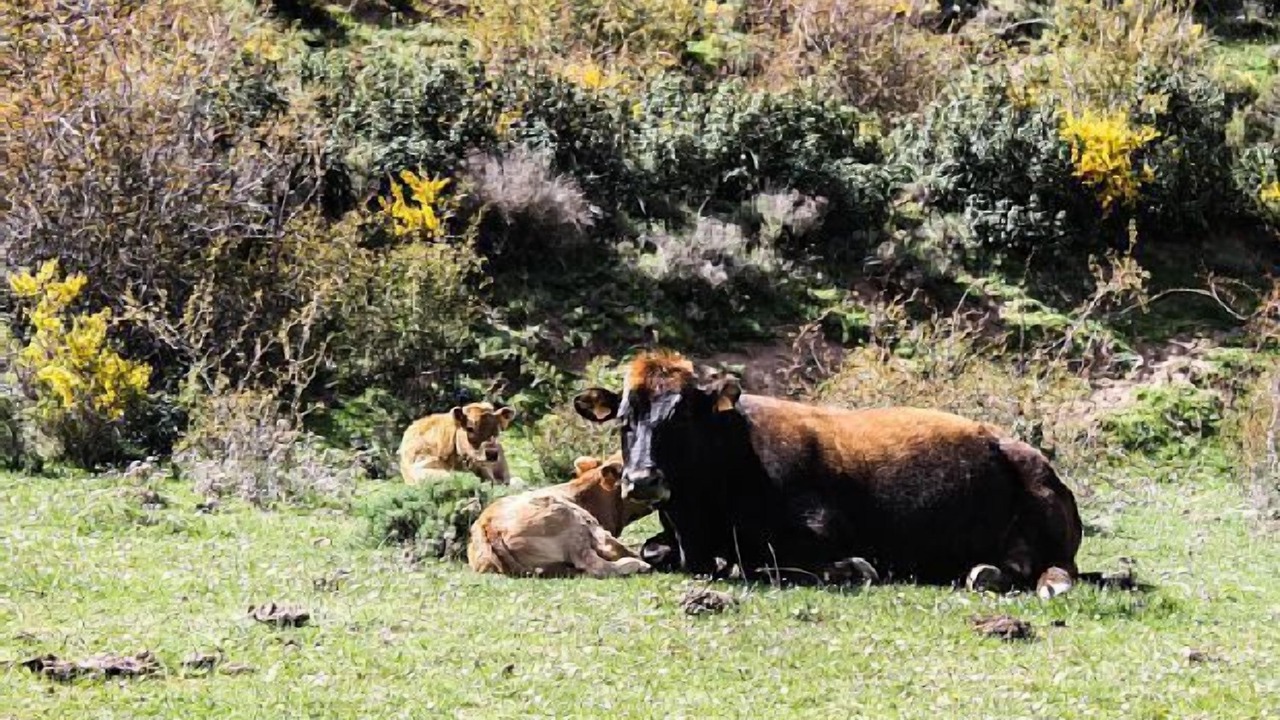 Photo of Outdoor in Calahorra