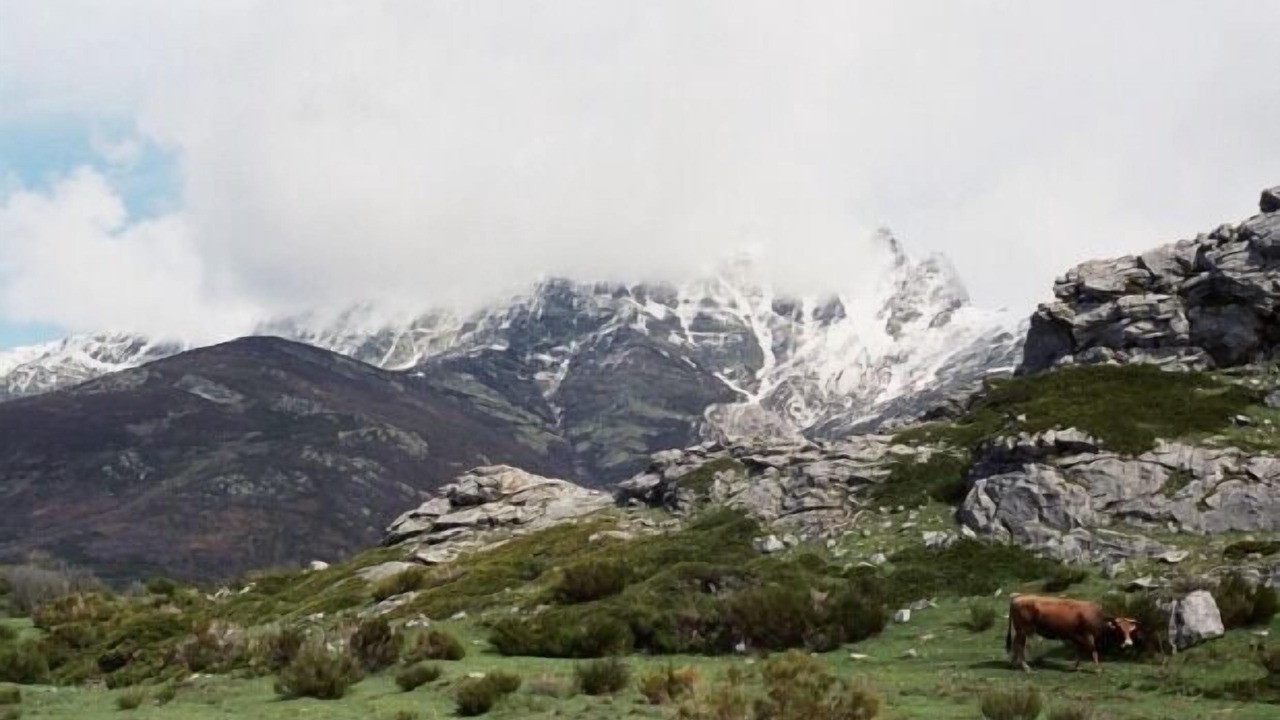 Photo of Outdoor in Vidrieros