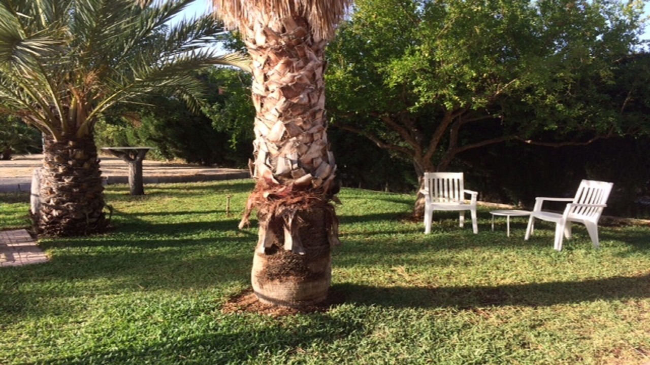 Photo of Outdoor in Hoya de los Patos