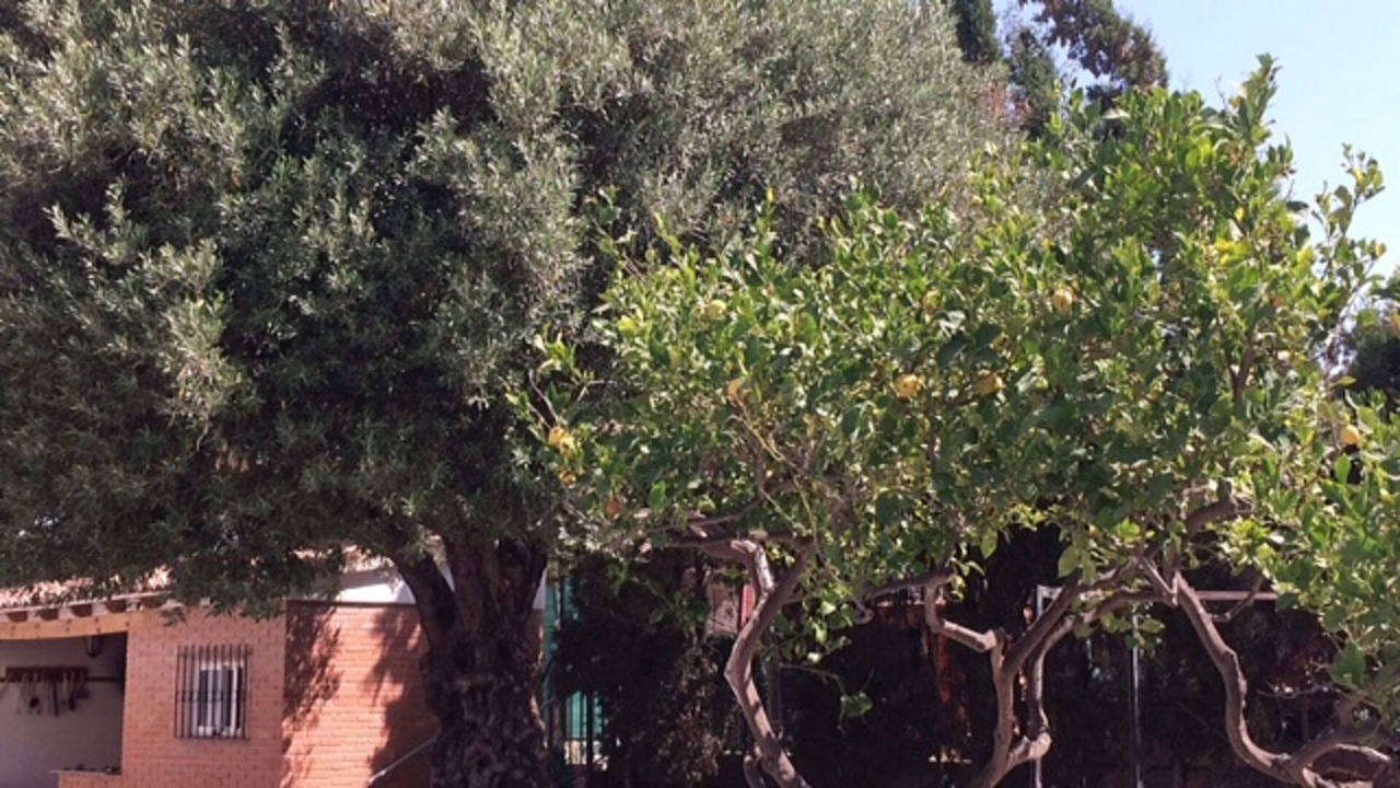 Photo of Outdoor in Hoya de los Patos