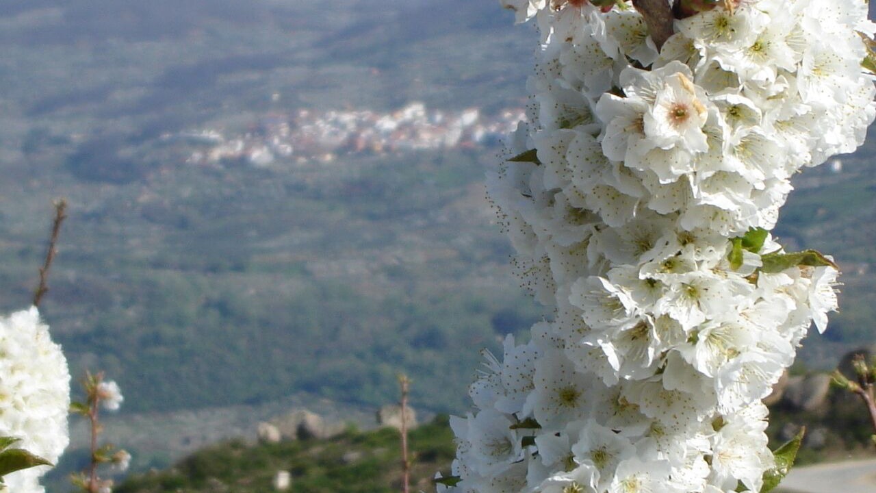 Photo of Outdoor in El Torno