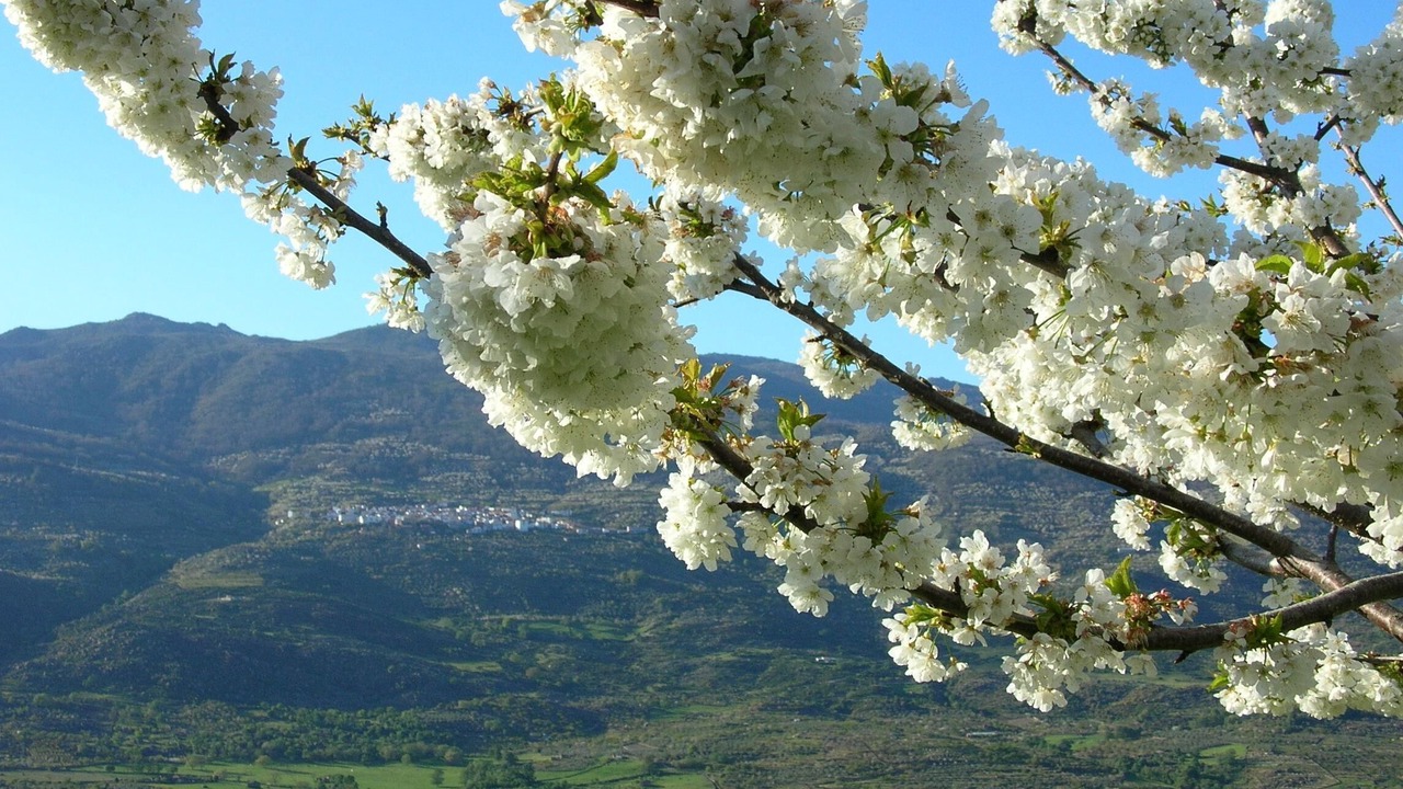 Photo of Outdoor in El Torno