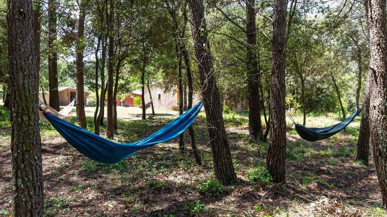 Photo of Outdoor in Madremanya