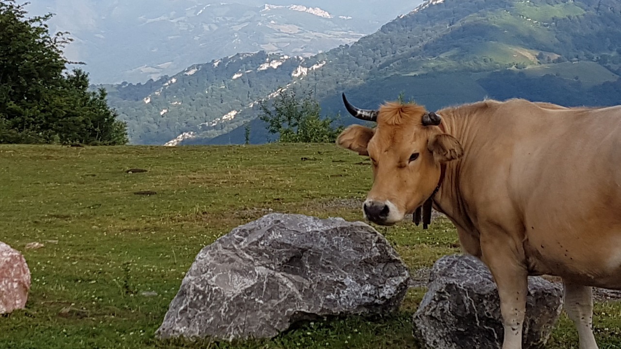 Photo of Outdoor in Quiros
