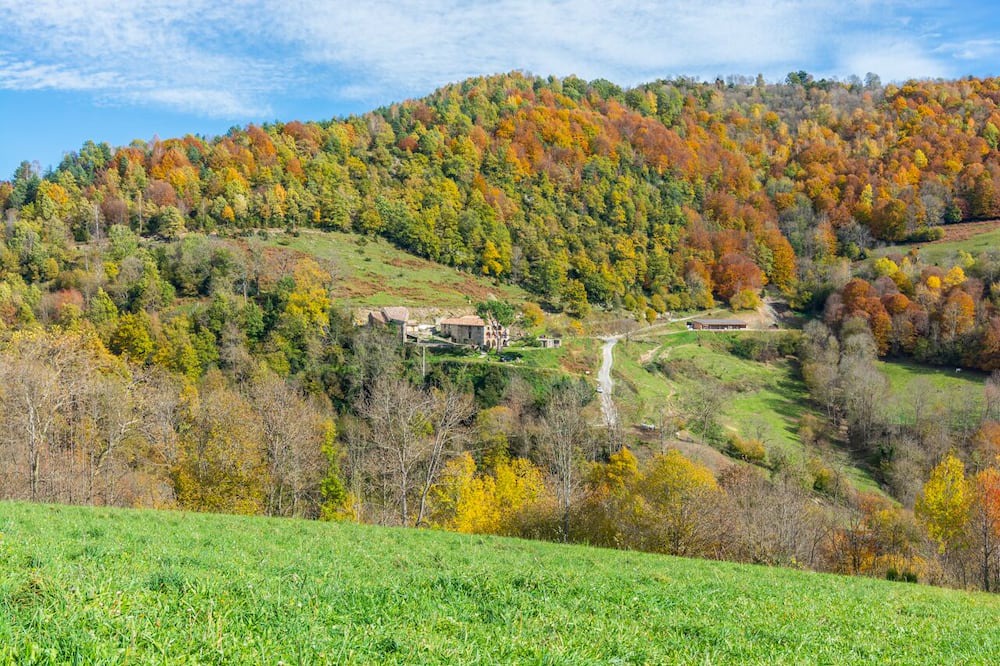 Photo of Outdoor in Mollo
