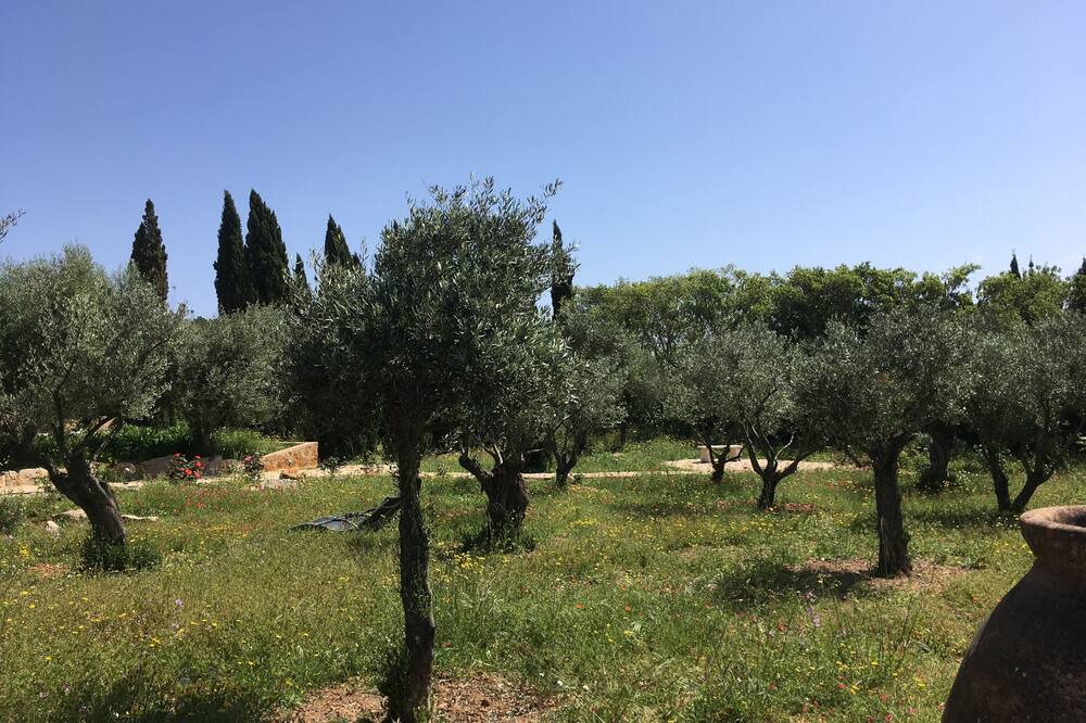 Photo of Outdoor in Sant Rafael de Sa Creu