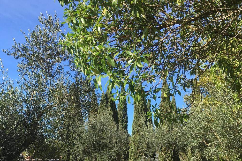 Photo of Outdoor in Sant Rafael de Sa Creu