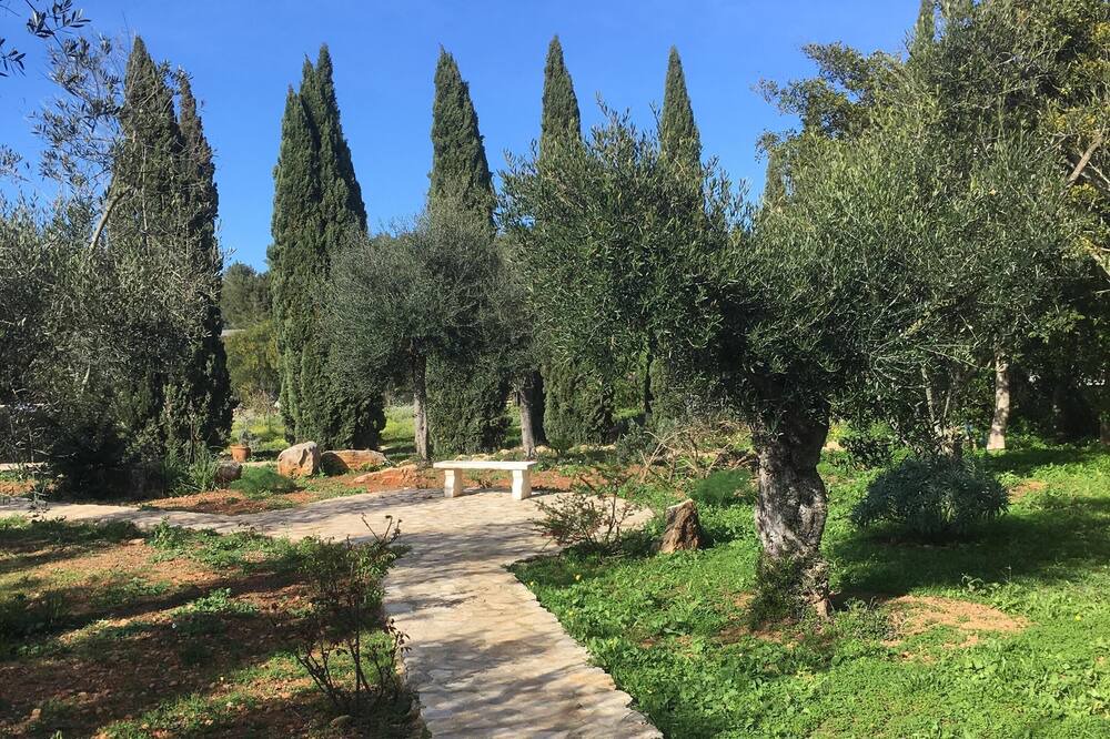 Photo of Outdoor in Sant Rafael de Sa Creu