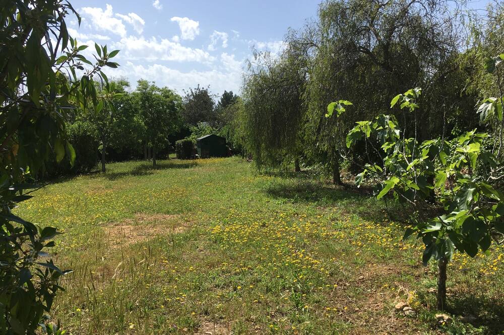 Photo of Outdoor in Sant Rafael de Sa Creu