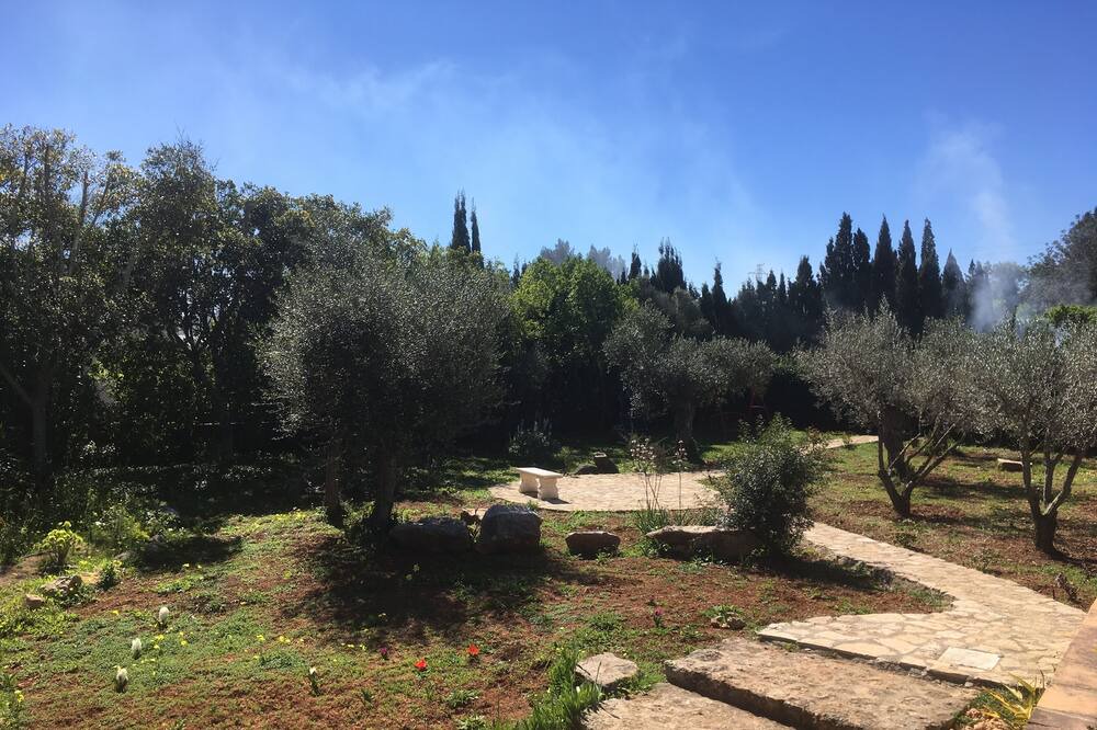 Photo of Outdoor in Sant Rafael de Sa Creu