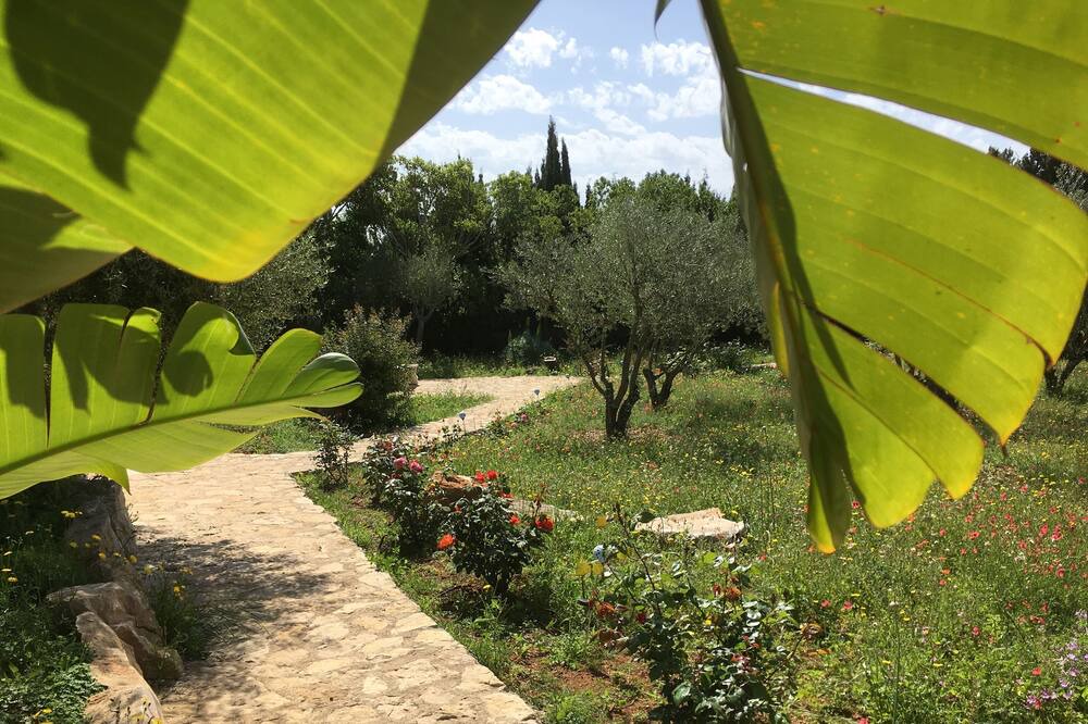 Photo of Outdoor in Sant Rafael de Sa Creu
