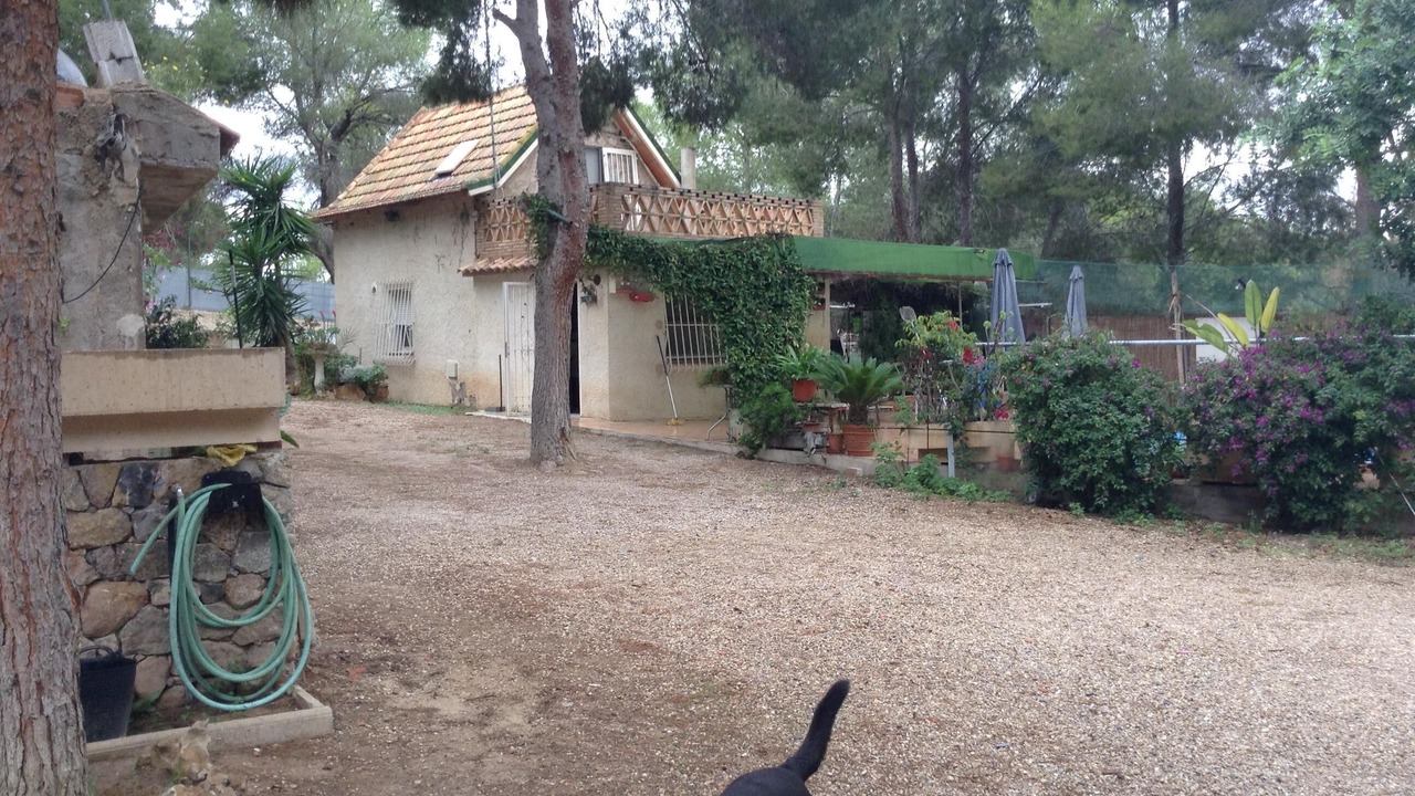 Photo of Outdoor in El Palmar