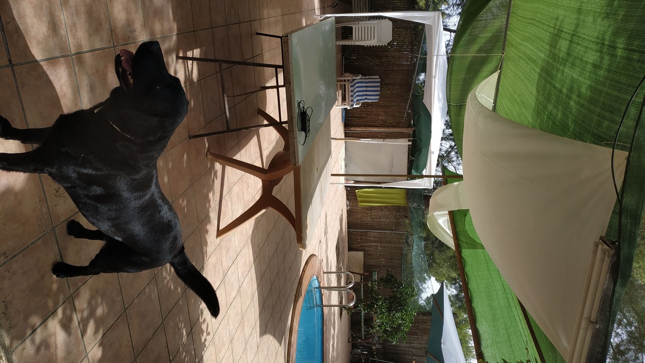 Photo of Outdoor in El Palmar