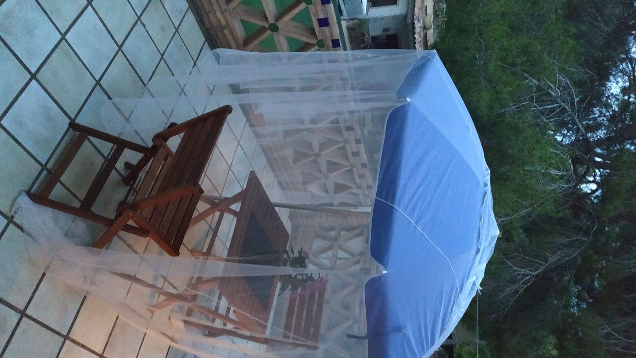 Photo of Outdoor in El Palmar