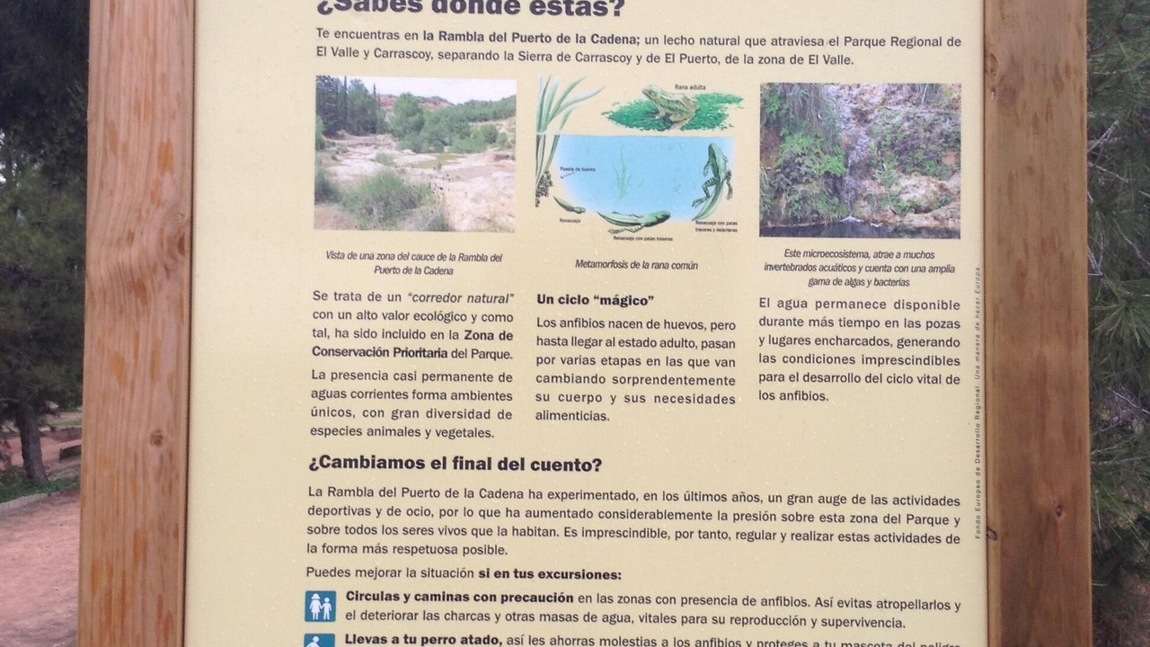 Photo of Outdoor in El Palmar