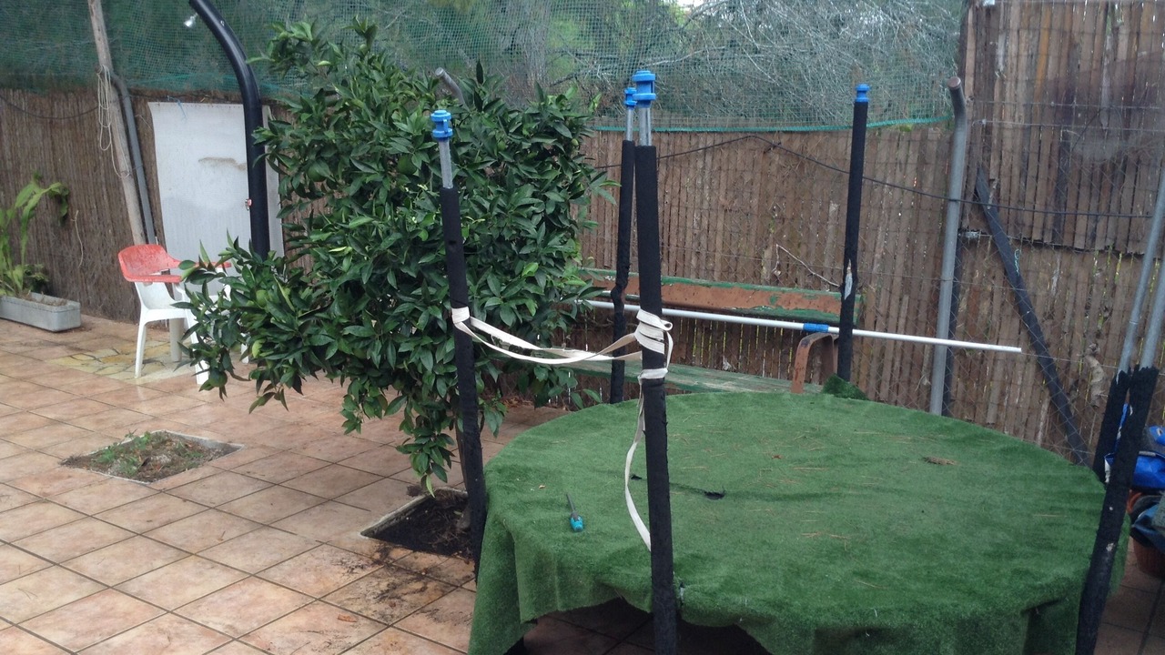 Photo of Outdoor in El Palmar