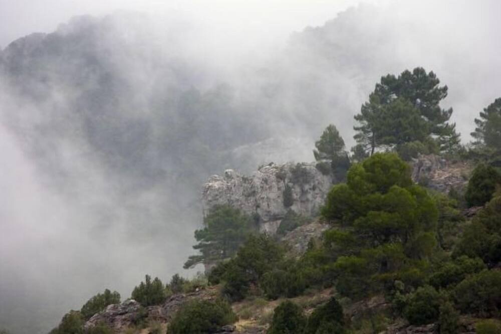 Photo of Others in Beas de Segura