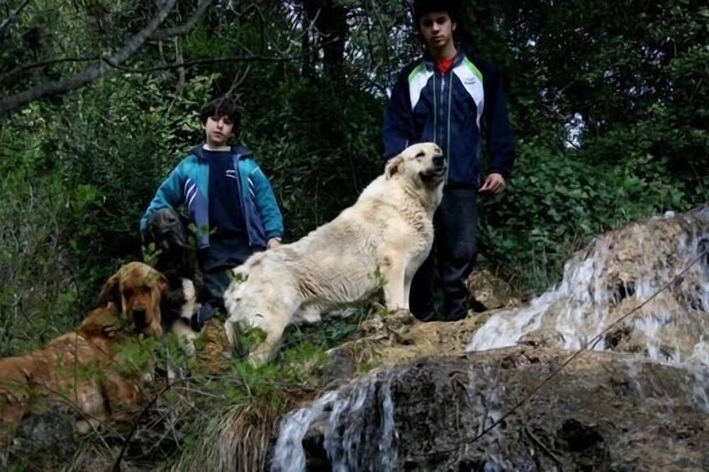Photo of Outdoor in Beas de Segura