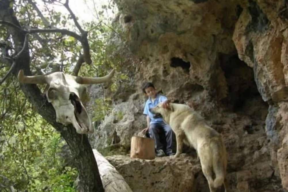 Photo of Outdoor in Beas de Segura