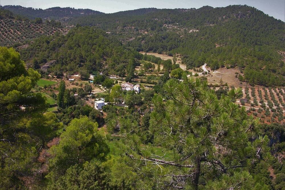 Photo of Others in Beas de Segura