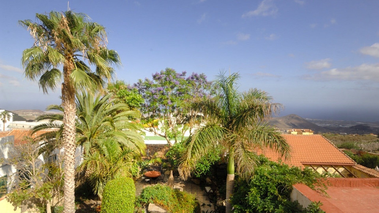 Photo of Outdoor in El Rincon