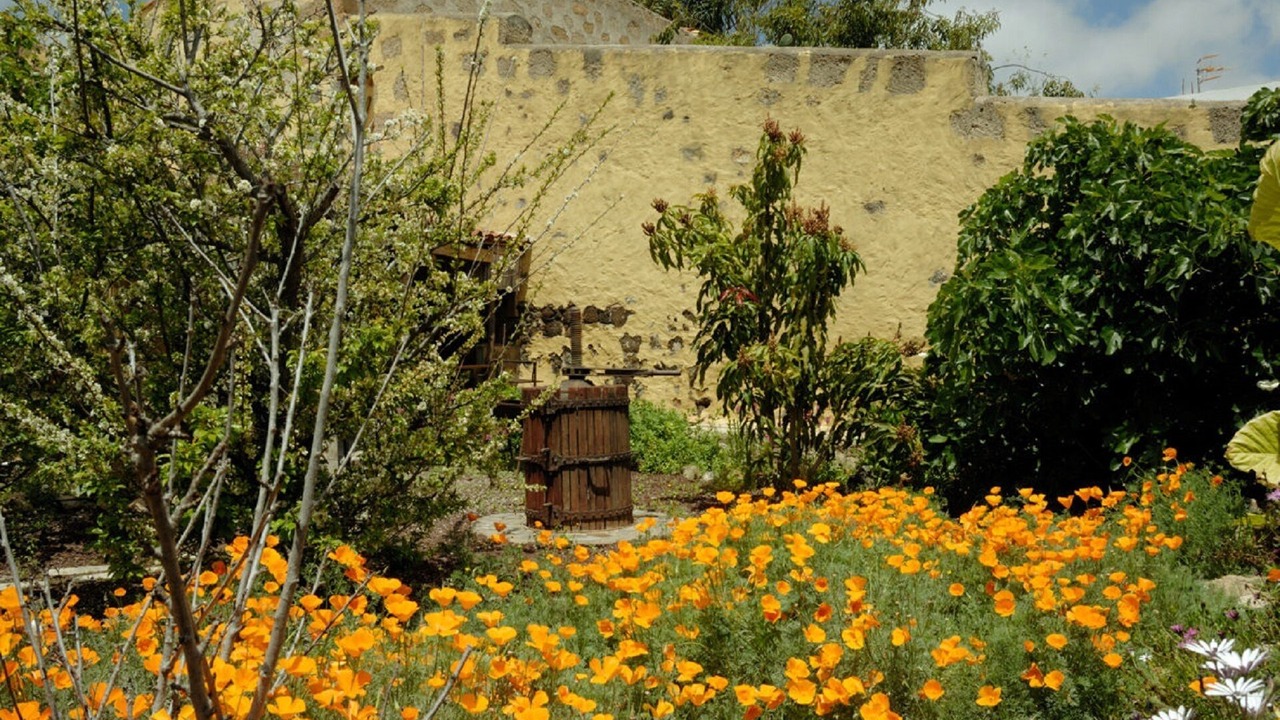 Photo of Outdoor in El Rincon