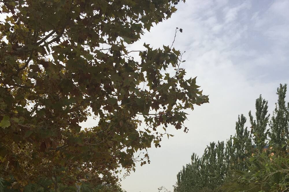 Photo of Others in Pla del Bon Repos