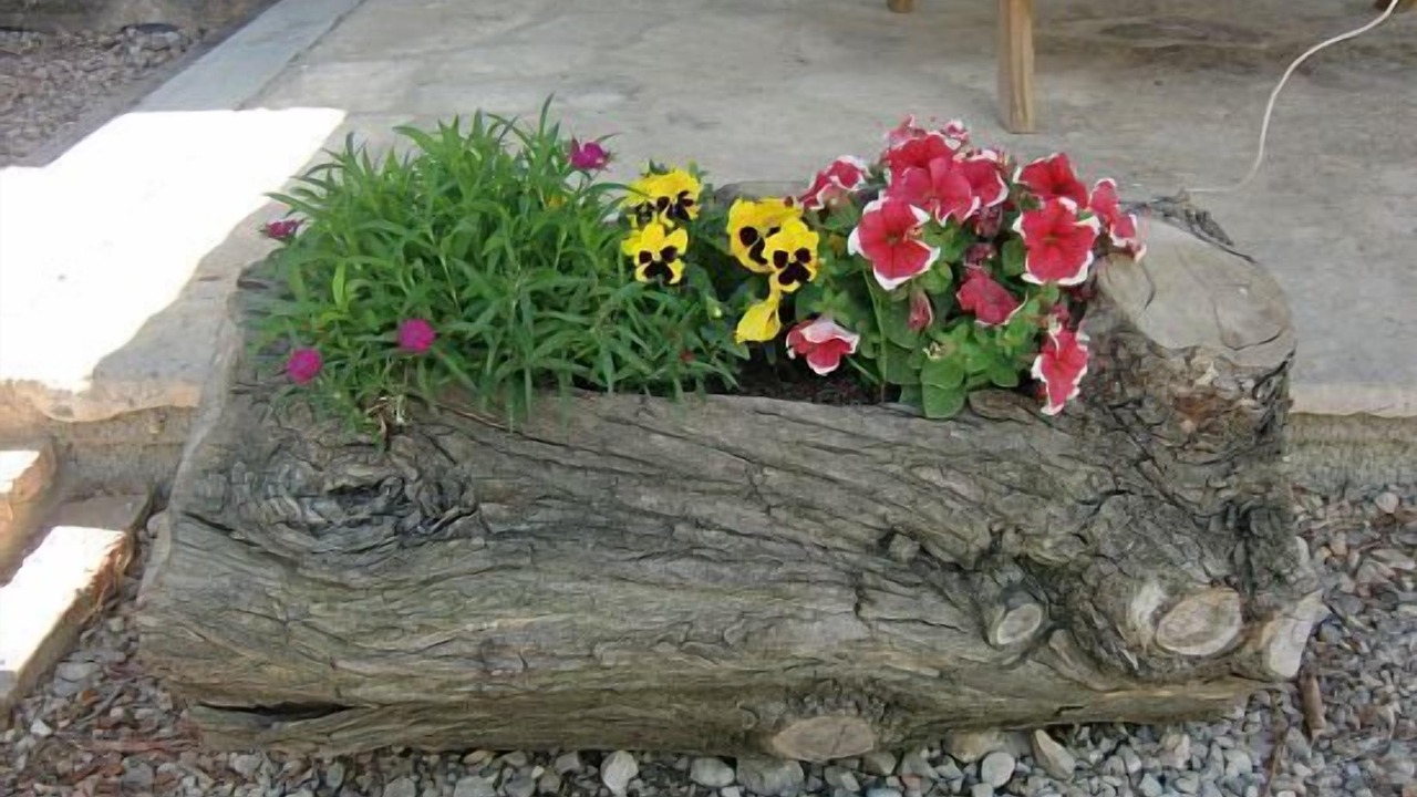Photo of Outdoor in Lalueza