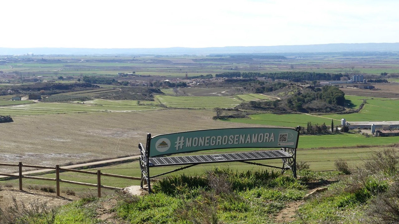 Photo of Others in Lalueza