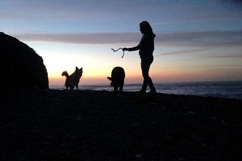 Photo of Others in San Pedro de la Ribera