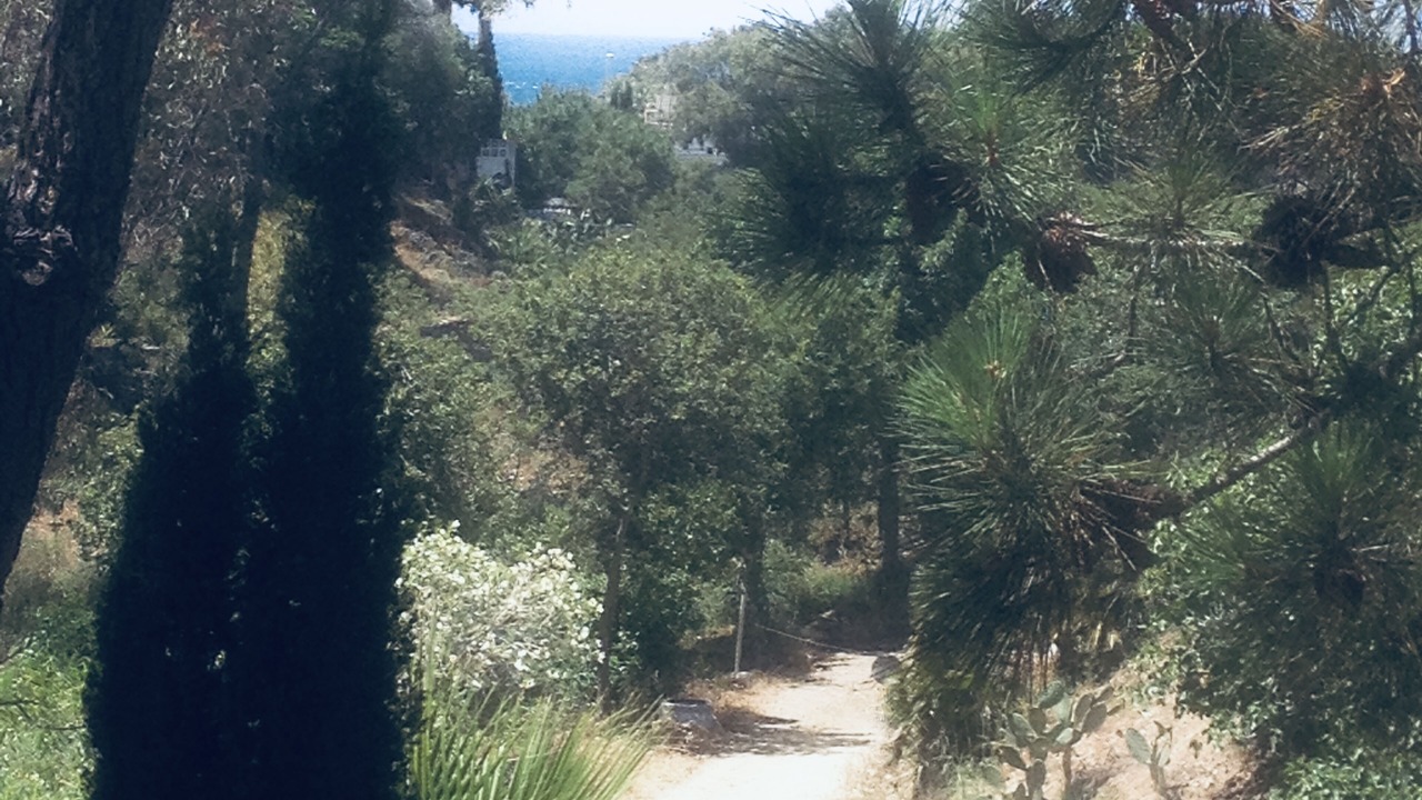 Photo of Outdoor in El Faro