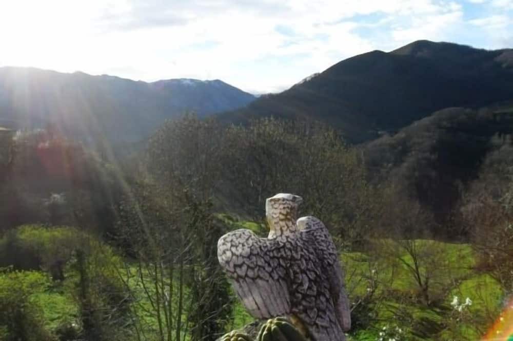 Photo of Outdoor in Teverga