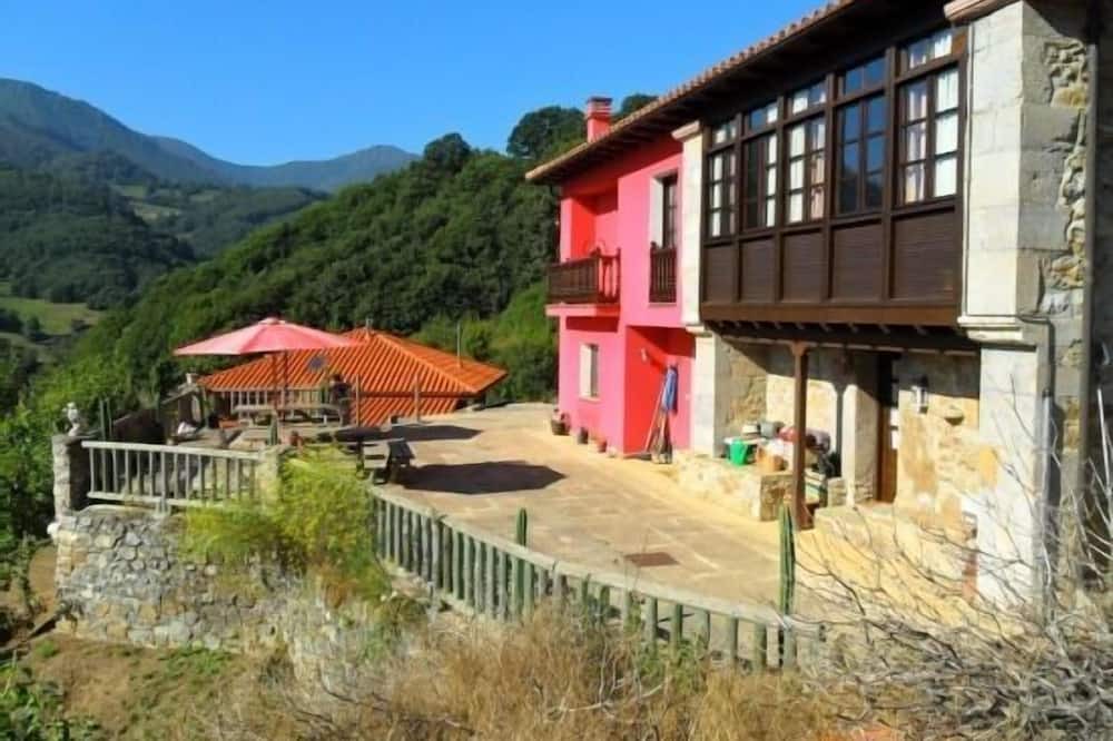 Photo of Outdoor in Teverga