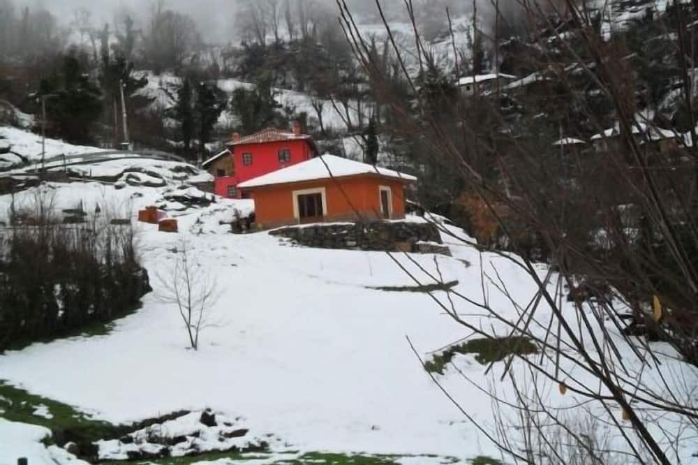 Photo of Outdoor in Teverga