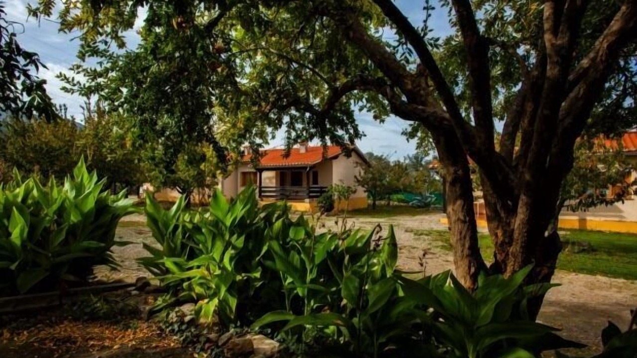 Photo of Outdoor in Hervas