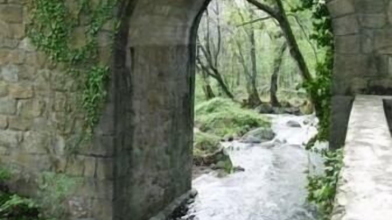 Photo of Outdoor in Hervas