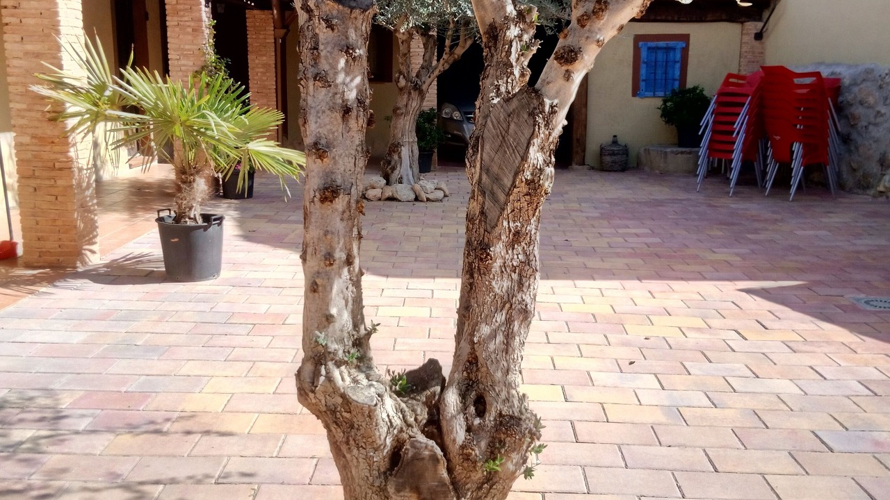 Photo of Patio Balcony in Rubielos Bajos