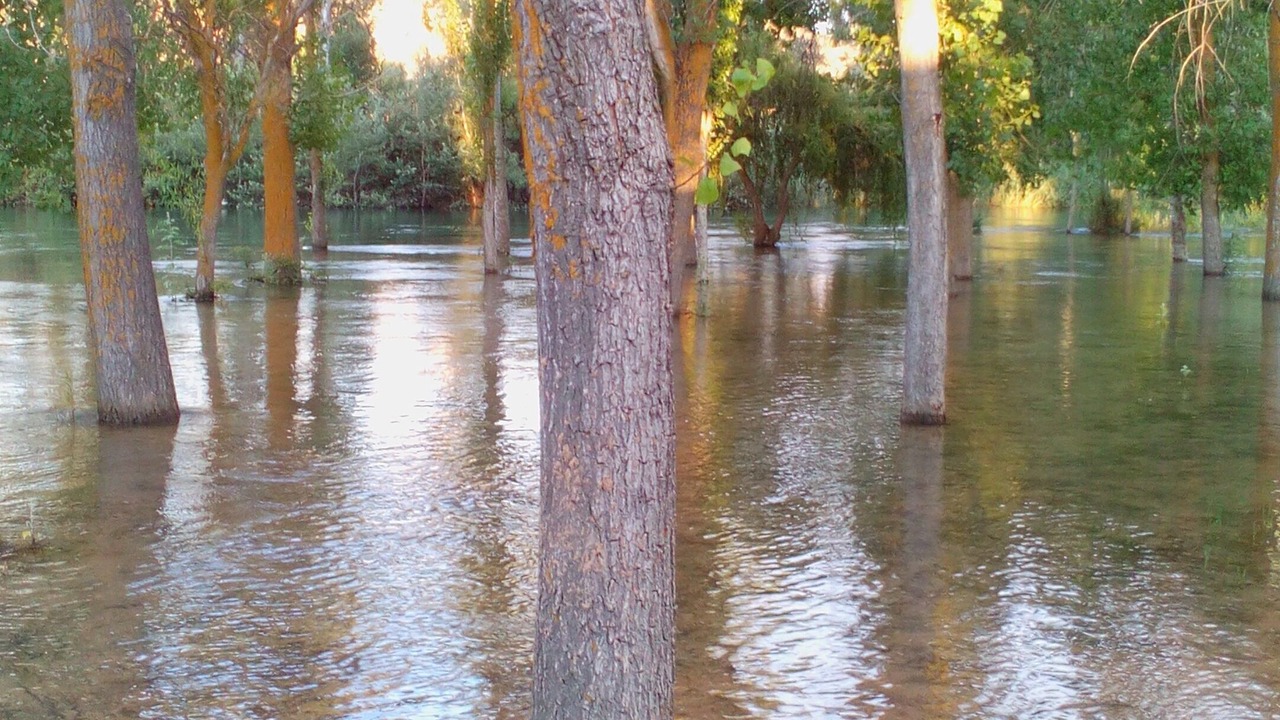Photo of Outdoor in Rubielos Bajos