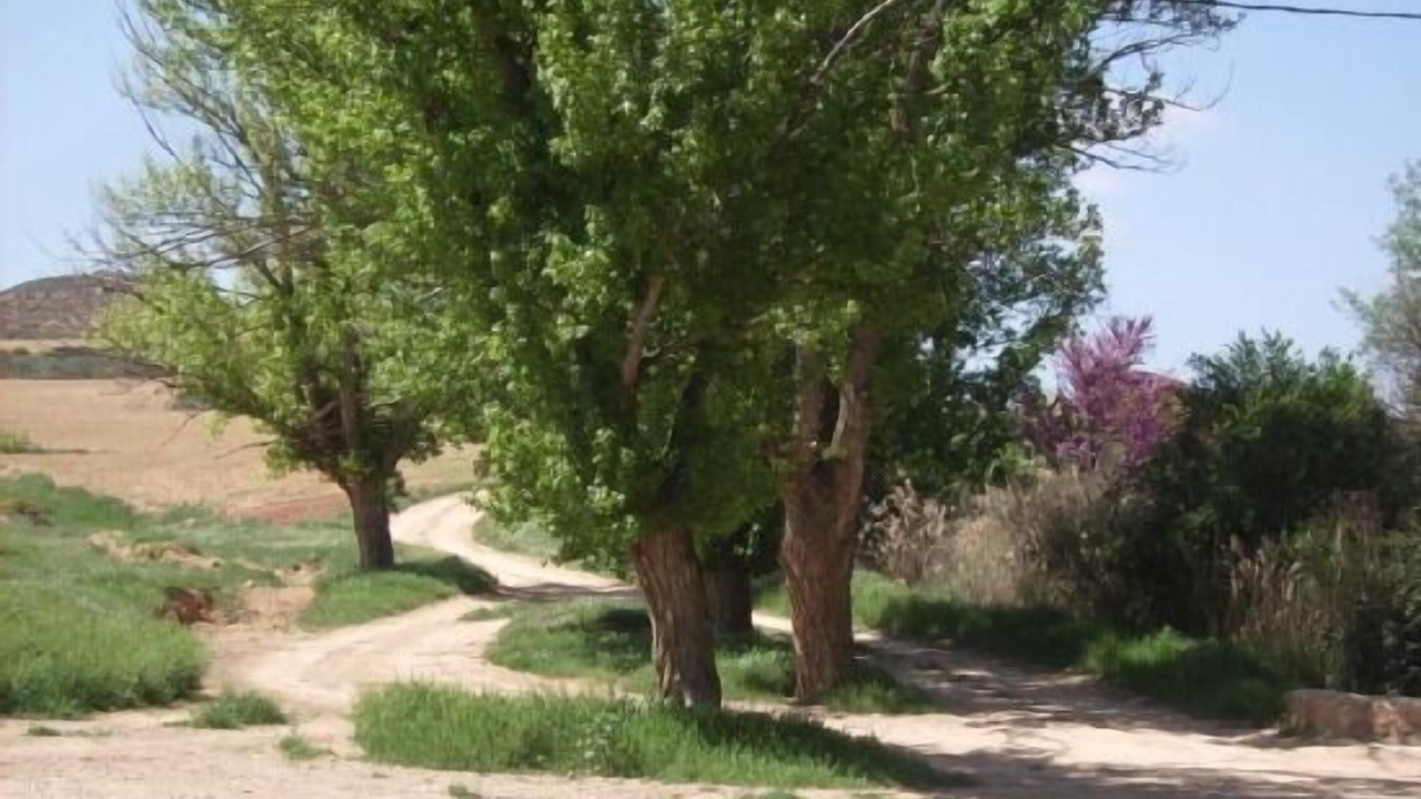 Photo of Outdoor in Granja de San Pedro