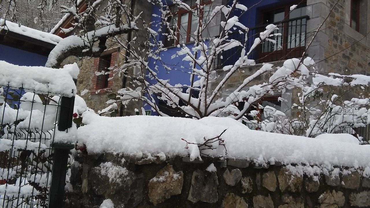 Photo of Outdoor in Ponga