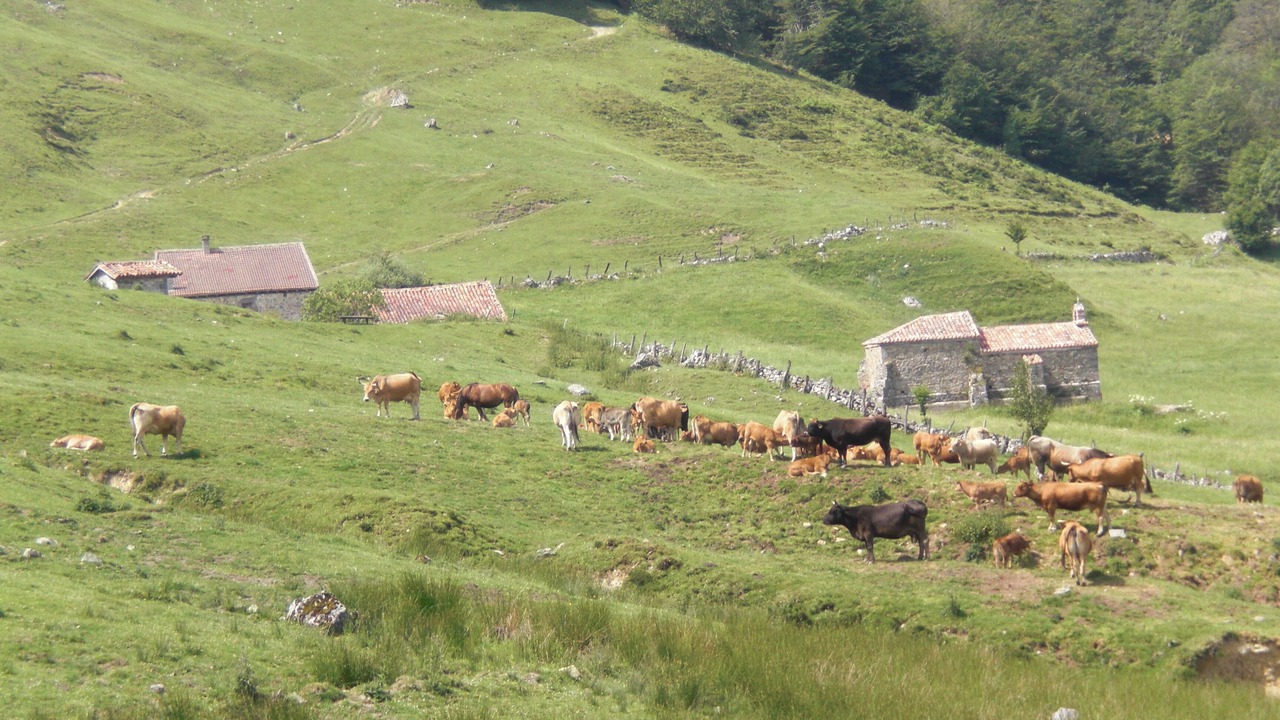Photo of Others in Ponga