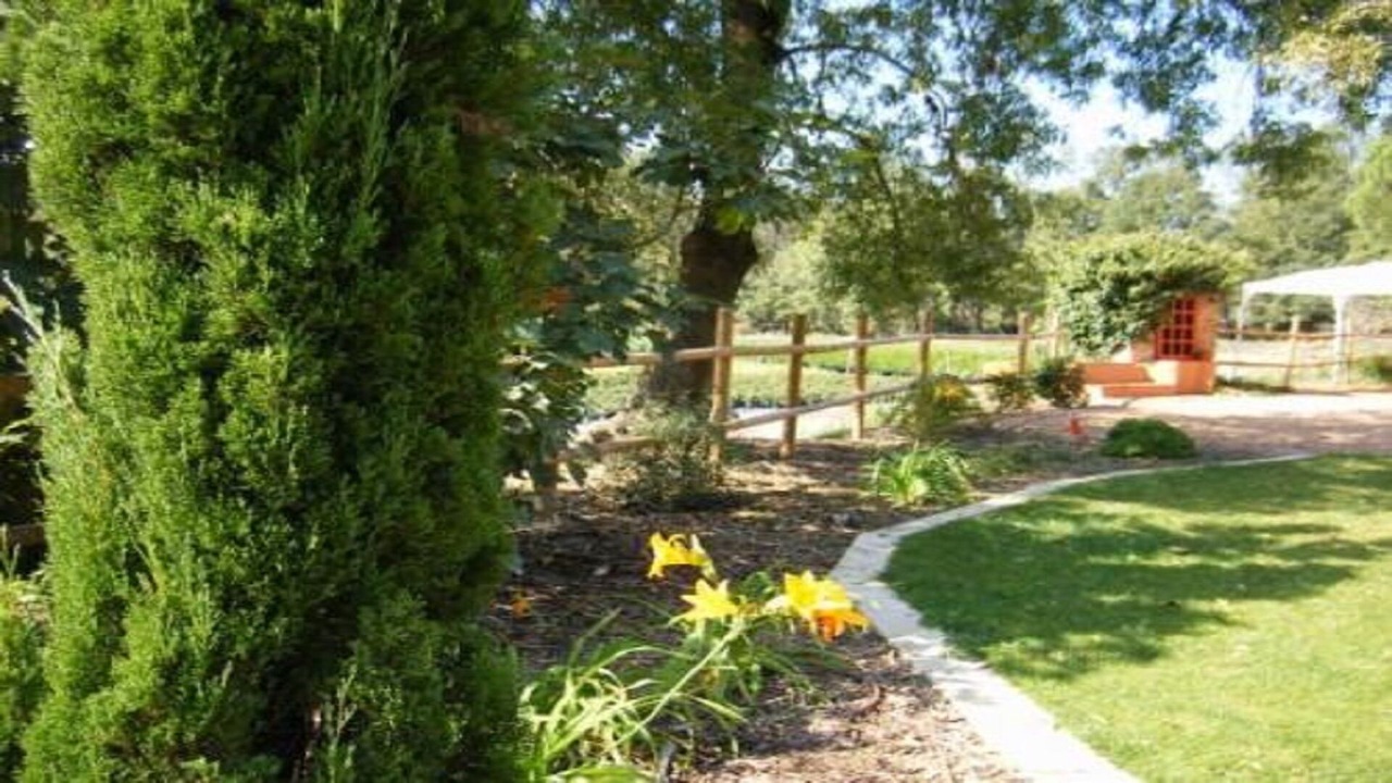 Photo of Outdoor in Riudarenes
