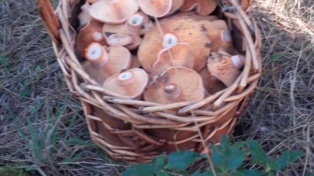Photo of Outdoor in Lubia