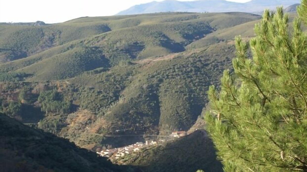 Photo of Outdoor in Valero