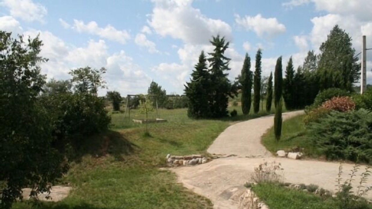 Photo of Others in Olvan