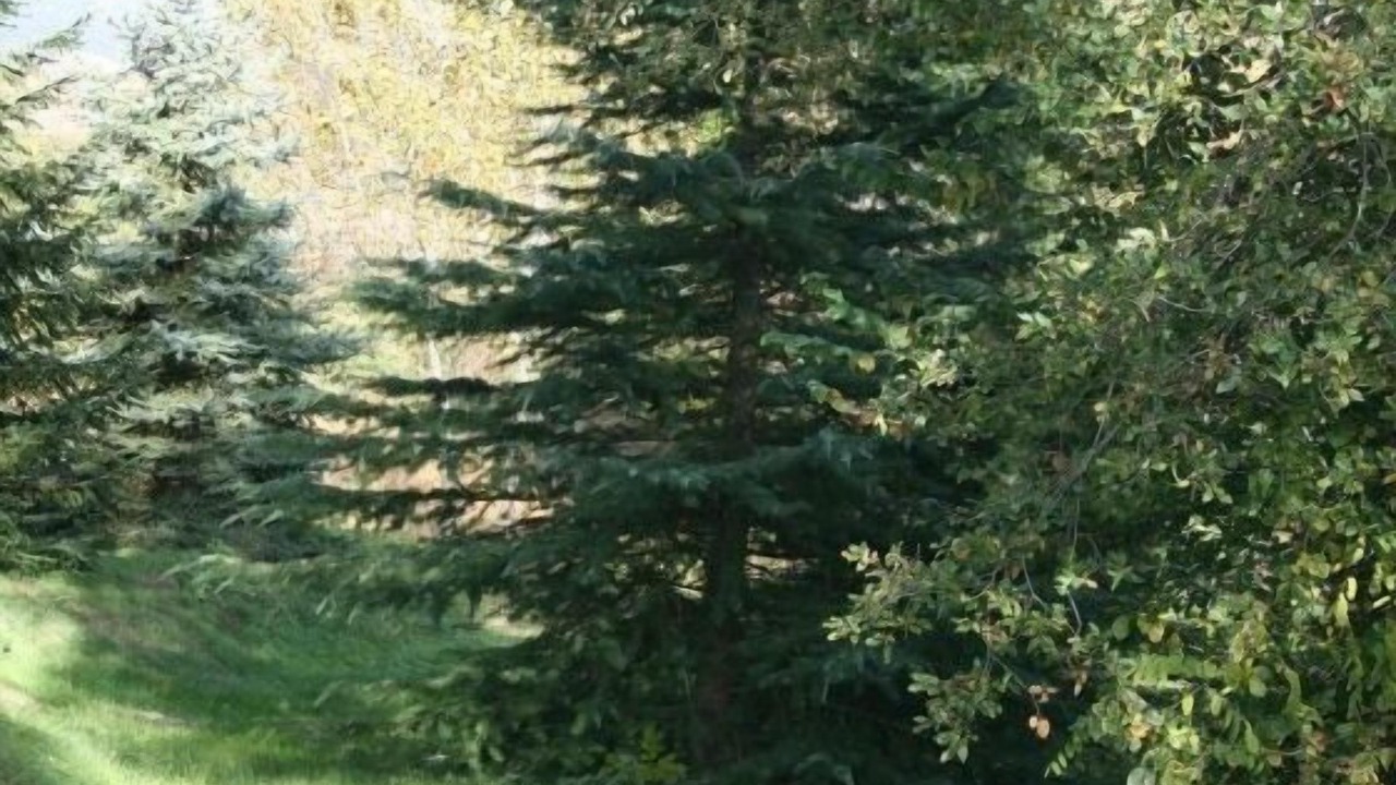 Photo of Outdoor in Olvan