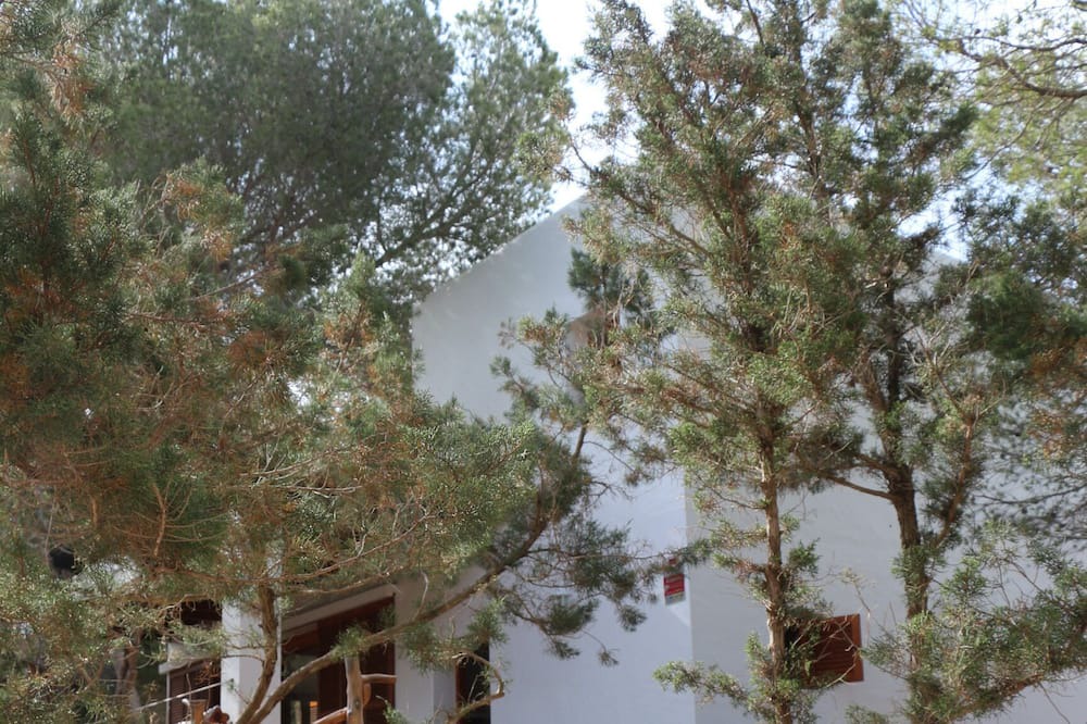 Photo of Outdoor in Calo de Sant Agusti
