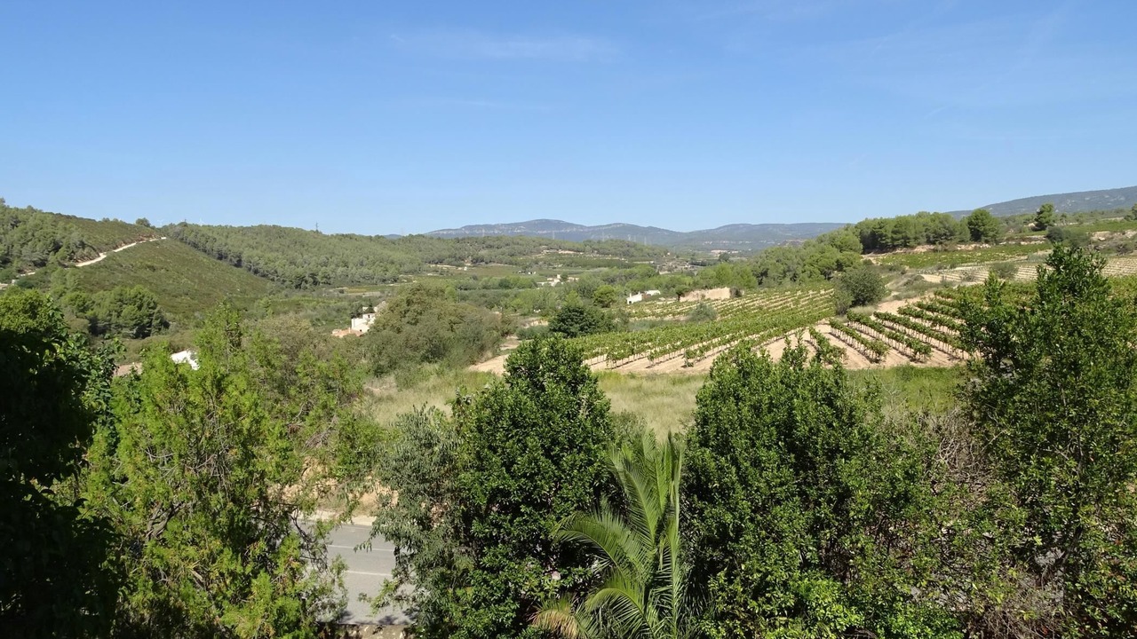 Photo of Others in Santes Creus