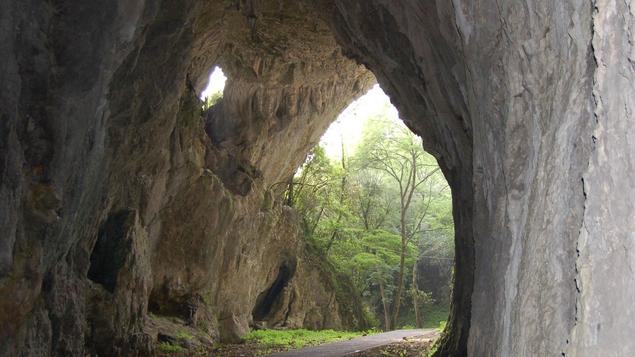 Photo of Others in Ramales de la Victoria