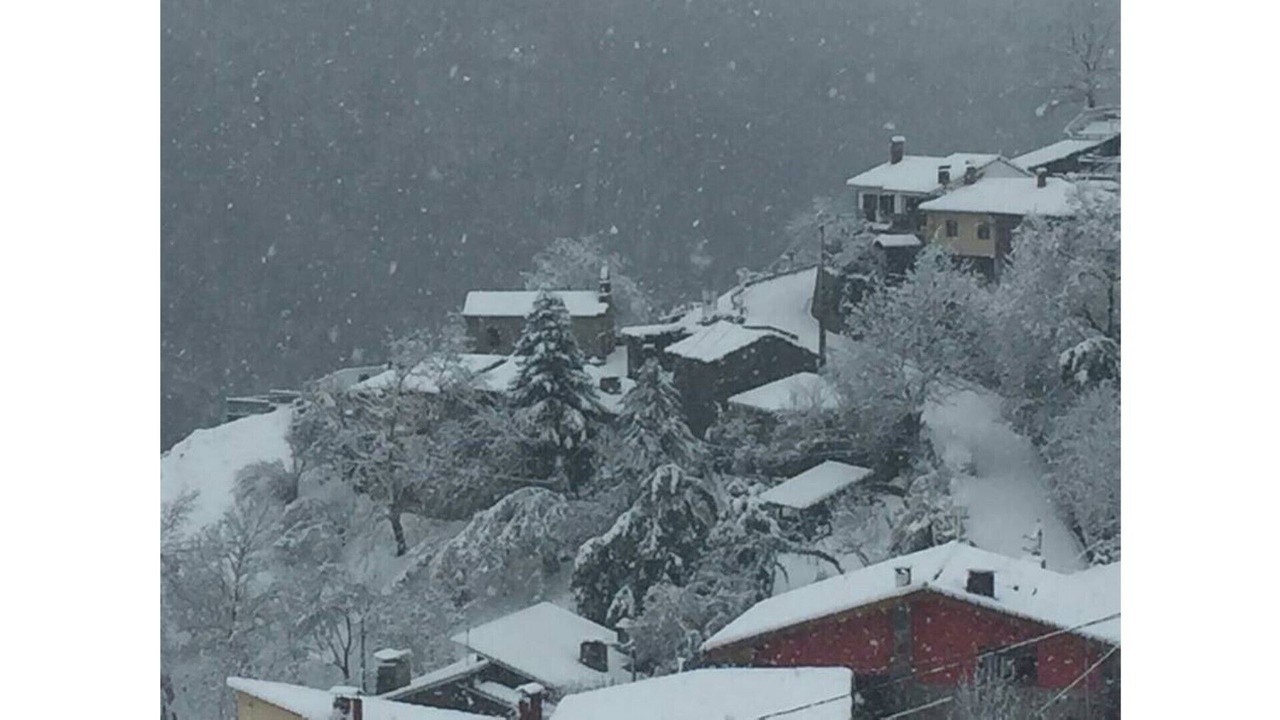 Photo of Outdoor in Lena